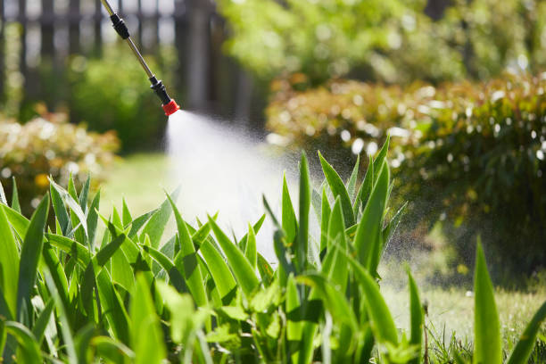 Tamper-Resistant Bait Stations for Rodents in Black Hammock