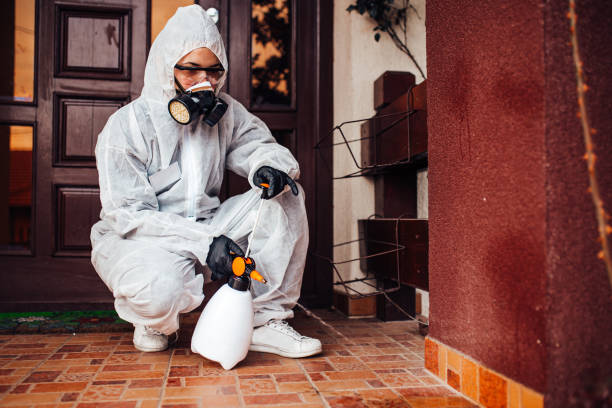 Attic and Crawl Space Rodent Treatment in Black Hammock